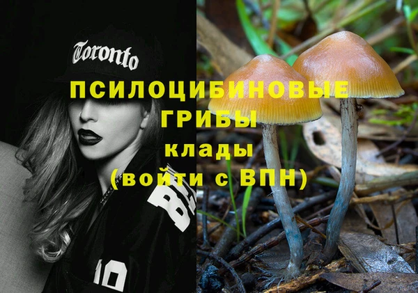 mdpv Белокуриха