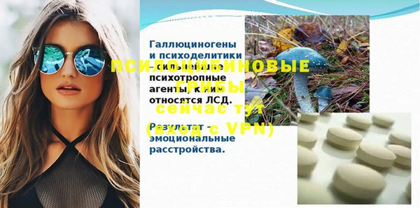 гидра Баксан