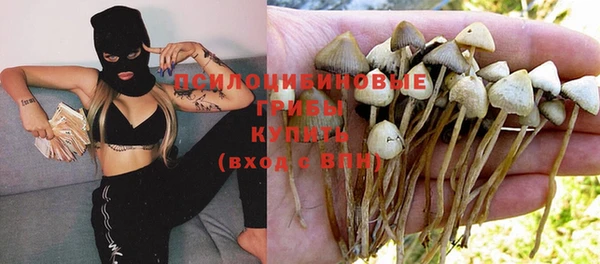 mdpv Белокуриха