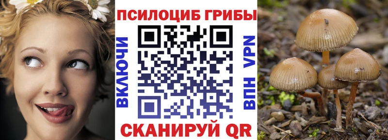 Галлюциногенные грибы прущие грибы  Олёкминск 